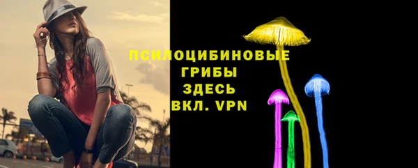 spice Алексеевка
