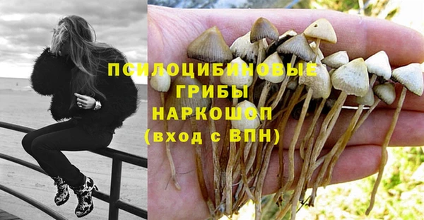 spice Алексеевка