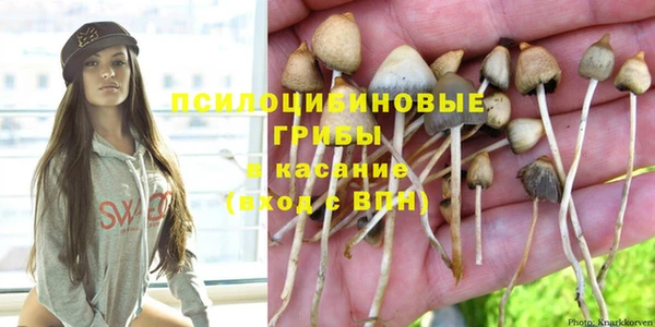 spice Алексеевка